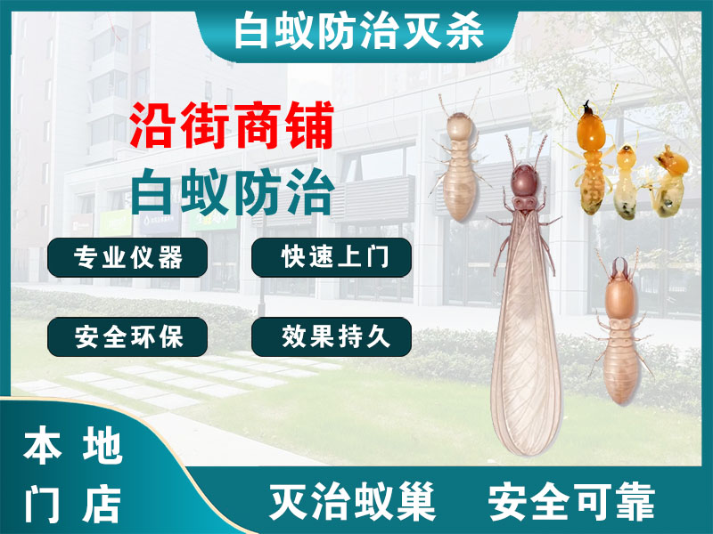无锡沿街商铺白蚁防治
