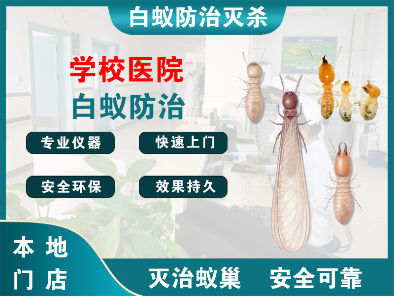 无锡学校医院白蚁防治