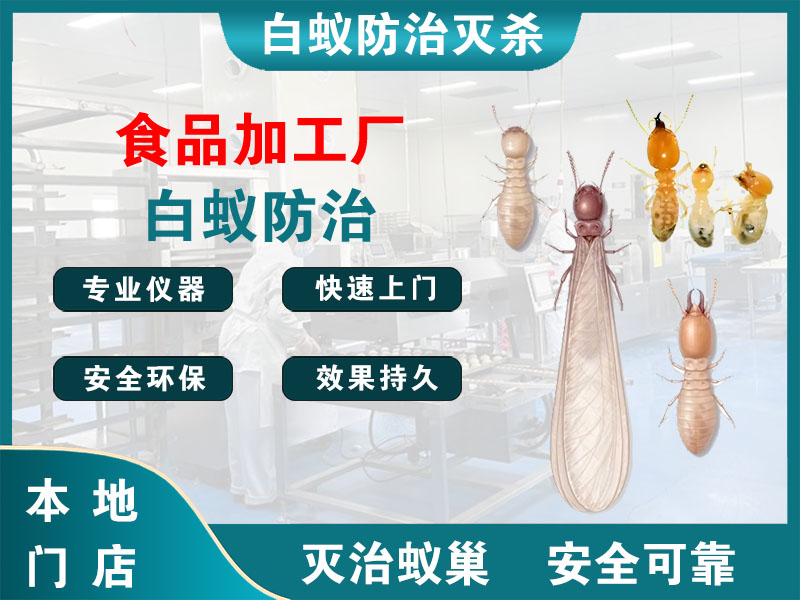 无锡食品加工厂白蚁防治