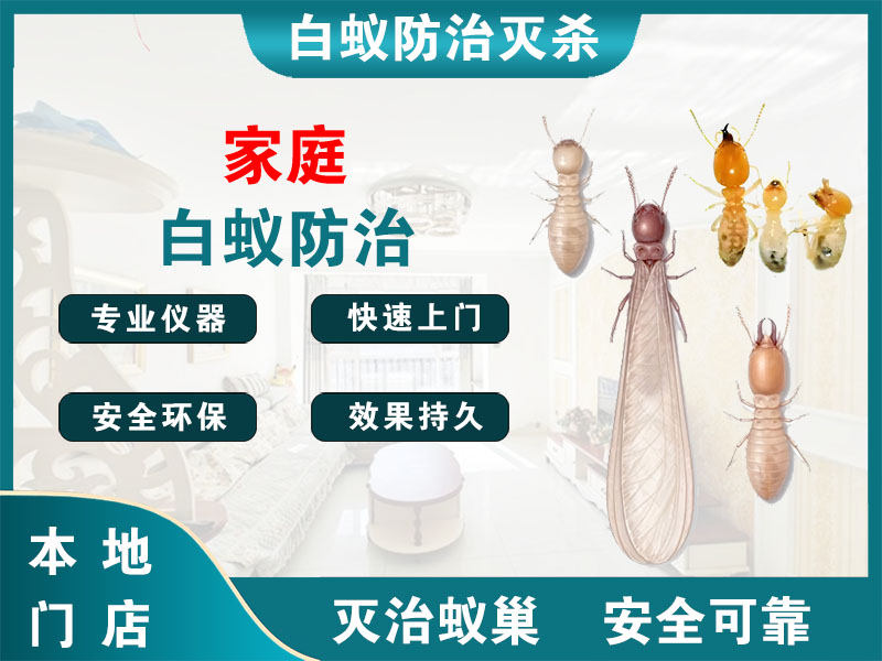 无锡家庭白蚁防治
