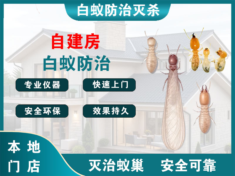 无锡自建房白蚁防治