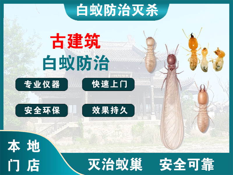 无锡古建筑白蚁防治