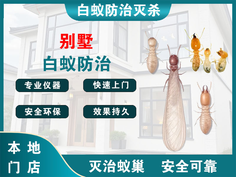 无锡别墅白蚁防治