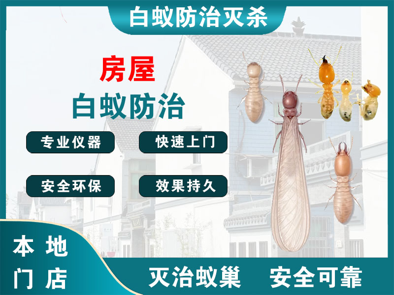 无锡房屋白蚁防治
